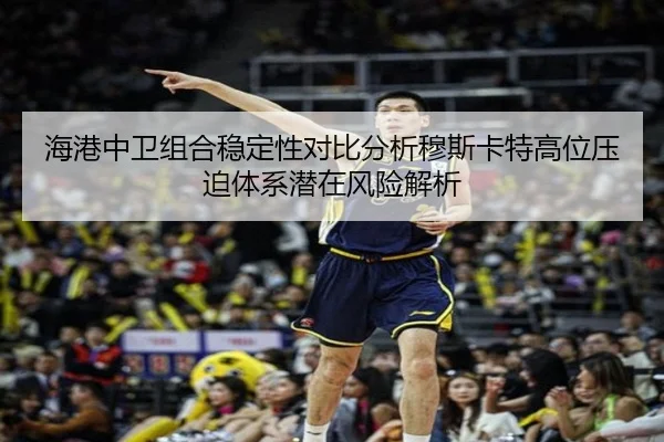 海港中卫组合稳定性对比分析穆斯卡特高位压迫体系潜在风险解析